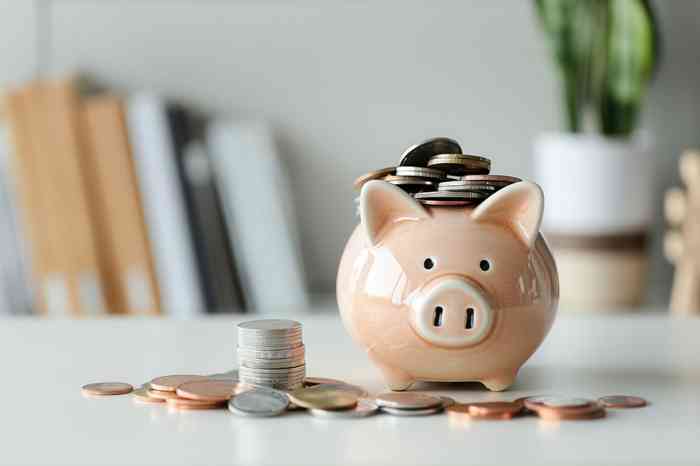 © Samon - stock.adobe.com Sparschwein