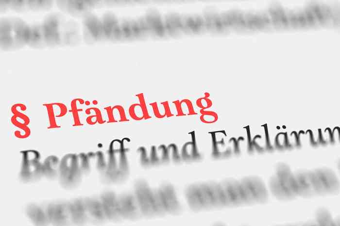 © Nico - stock.adobe.com Textausschnitt Pfändung